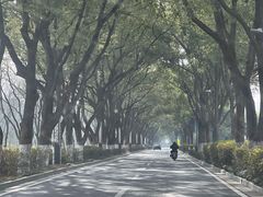 -无锡梅园公园