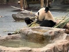 -上海野生动物园