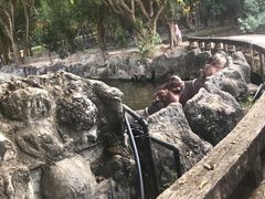 -清迈夜间动物园