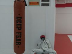 -DEFGROUP·巴西柔术·拳击·摔跤(世纪大道馆)