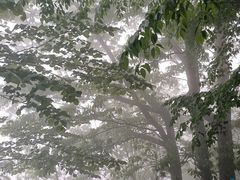 -洛阳白云山景区