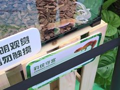 -万达广场(龙湖店)