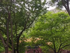 -北京凤凰岭