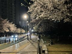 -西北湖绿化广场