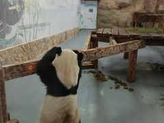 -无锡动物园·太湖欢乐园