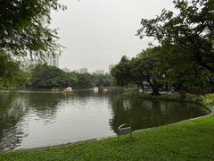 -晓港公园