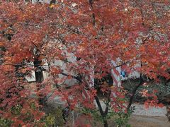 -白马涧龙池景区