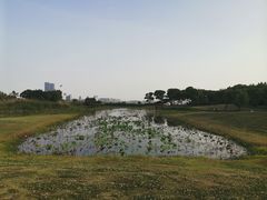-苏州金鸡湖大酒店