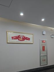 -上海首尔丽格医疗美容医院