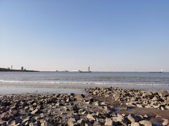 -上海滨江森林公园