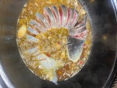 -桃源村铁锅炖鱼(体育馆道店)