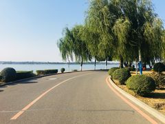 -丁香湖公园