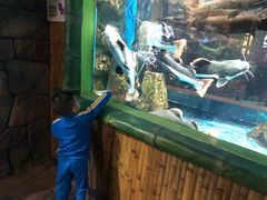 -顺德南宏海立方海洋公园