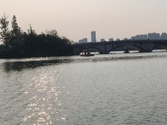 -洋湖国家湿地公园