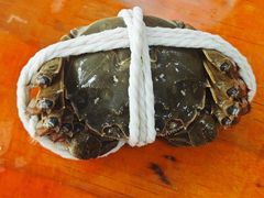 -阳澄湖大闸蟹·琼灵阁牌品牌连锁(吴中总店)