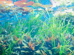 -海合安天津极地海洋公园