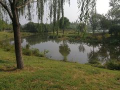 -东郊湿地公园