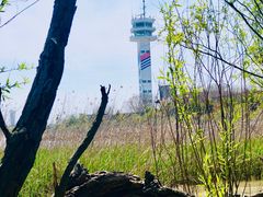 -吴淞炮台湾湿地森林公园烧烤区