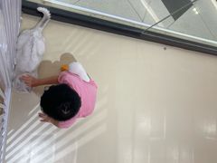 -三花喵·撸猫购宠·宠物生活馆(虹桥南丰城店)