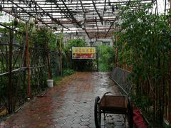 -润记农家菜