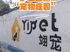 -翊宠yipet猫狗购宠庄园犬舍•猫舍