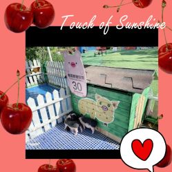 -萌宠亲子动物乐园(槐房万达店)