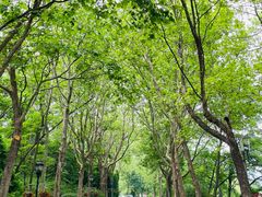-棒棰岛宾馆景区
