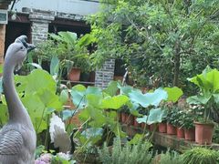 -园林美食城·本土农家菜(杨和镇店)