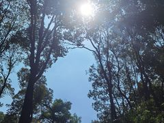 -广州市白云山风景名胜区