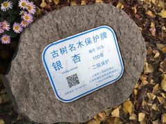-汇龙潭