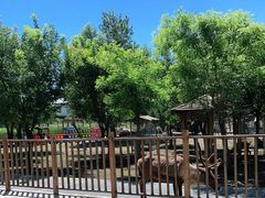 -北京鹿世界主题园