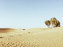 -迪拜沙漠冲沙