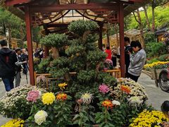 -无锡惠山寺