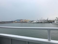 -长岛万鸟岛