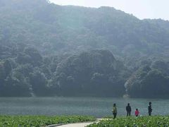 -广州市石门国家森林公园