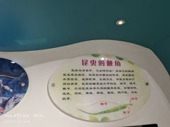 -上海昆虫博物馆