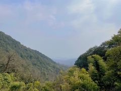 -韬光茶庵