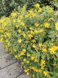 -Oasis Beauty水磨坊科技美肤中心