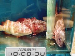 -福娣·金沙银贝海鲜火锅