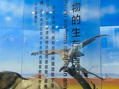 -国家自然博物馆