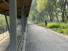 -西湖风景区-江洋畈生态公园