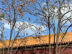 -故宫博物院(故宫)