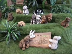 -济州岛泰迪熊博物馆