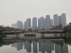 -重庆彩云湖湿地公园
