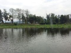 android_upload_pic-五甲塘生态湿地公园