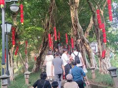 -丰都鬼城名山景区