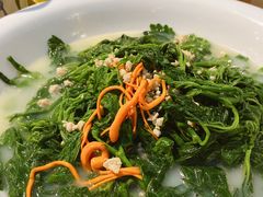 -大树头森林餐厅(番禺广场店)
