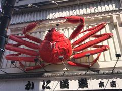 -蟹道乐(道顿堀本店)