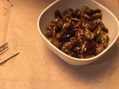 -枪火串烧·东北特色烧烤(罗湖总店)