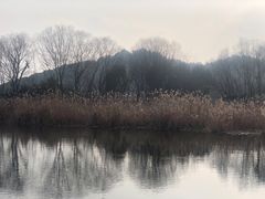 -西湖风景区-江洋畈生态公园